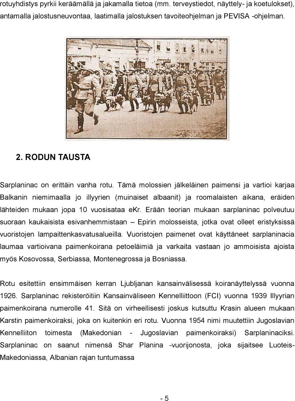 Tämä molossien jälkeläinen paimensi ja vartioi karjaa Balkanin niemimaalla jo illyyrien (muinaiset albaanit) ja roomalaisten aikana, eräiden lähteiden mukaan jopa 10 vuosisataa ekr.