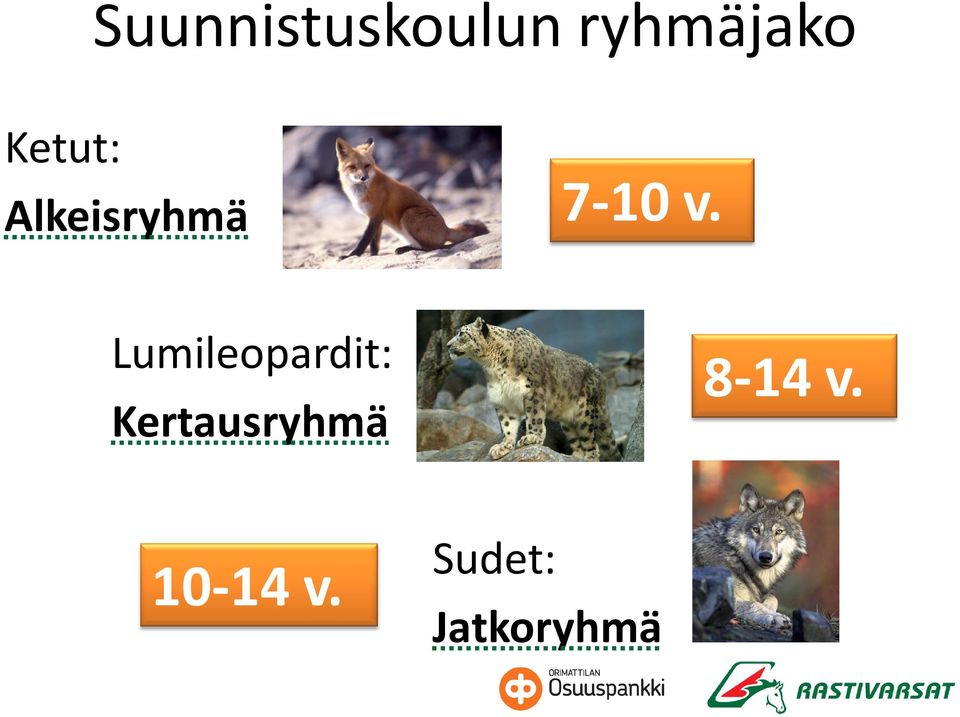 Lumileopardit: Kertausryhmä