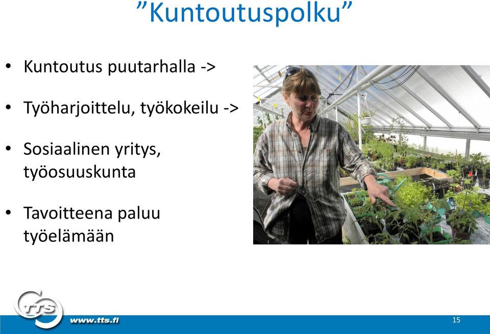 työkokeilu -> Sosiaalinen yritys,