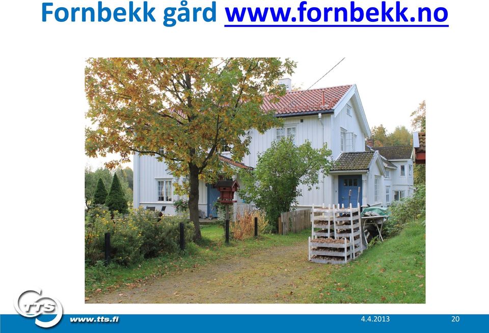 fornbekk.