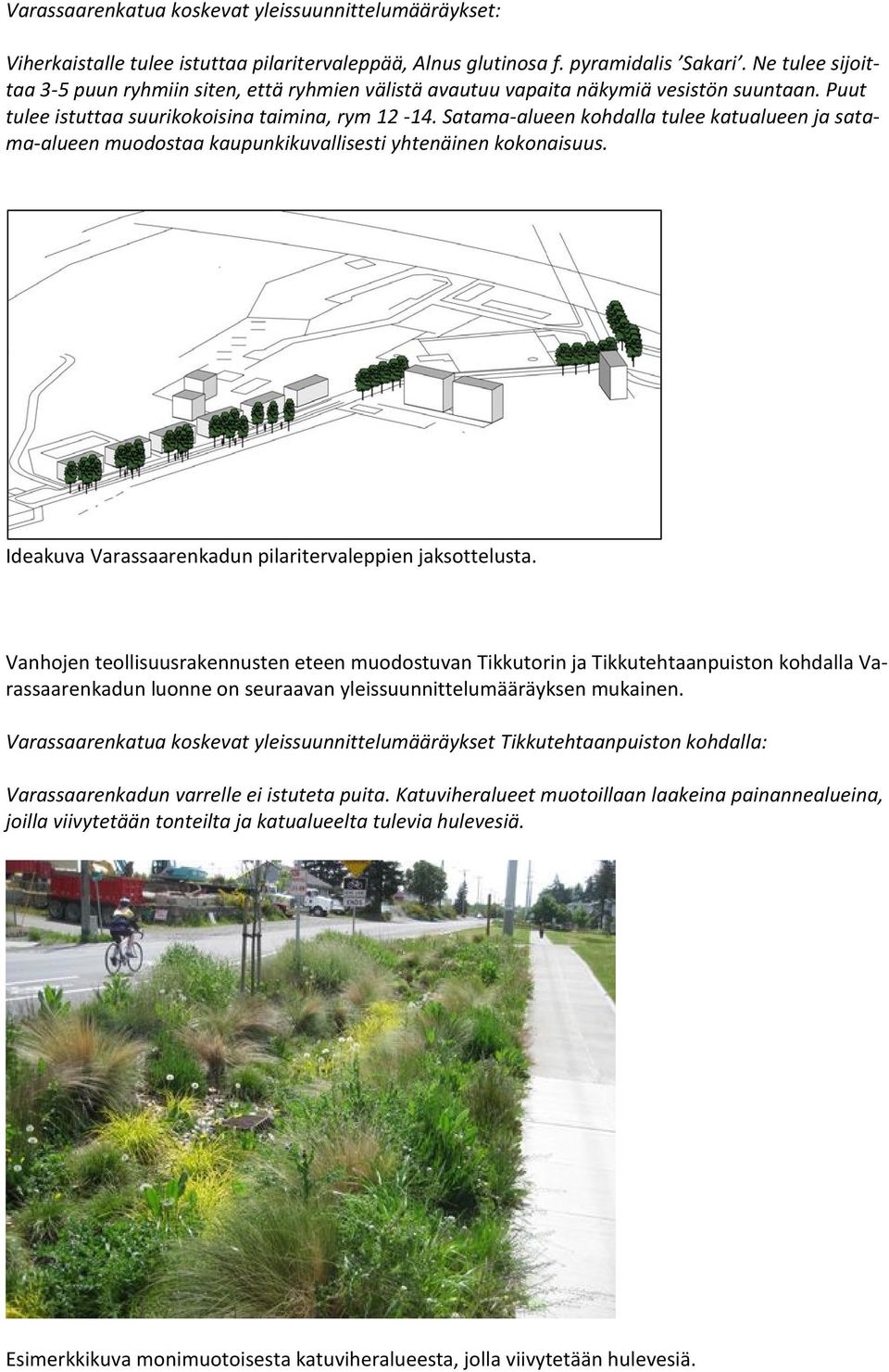 Satama-alueen kohdalla tulee katualueen ja satama-alueen muodostaa kaupunkikuvallisesti yhtenäinen kokonaisuus. Ideakuva Varassaarenkadun pilaritervaleppien jaksottelusta.