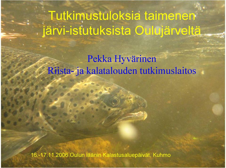 Hyvärinen Riista- ja kalatalouden