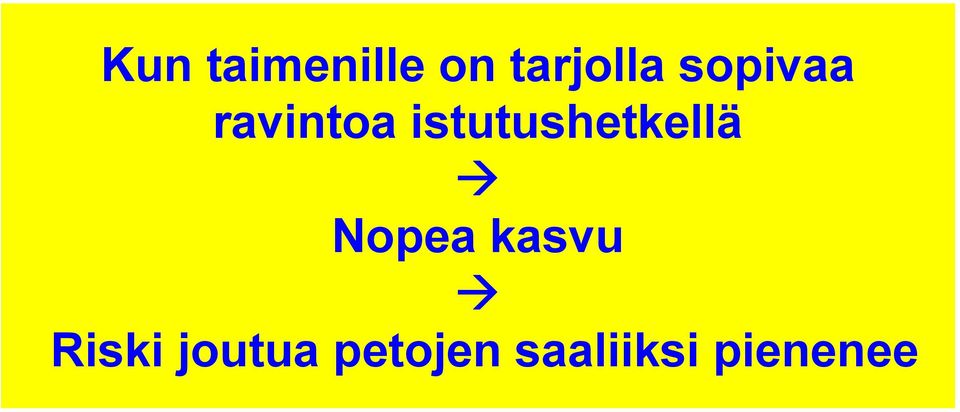 istutushetkellä Nopea kasvu