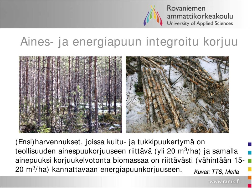 /ha) ja samalla ainepuuksi korjuukelvotonta biomassaa on riittävästi