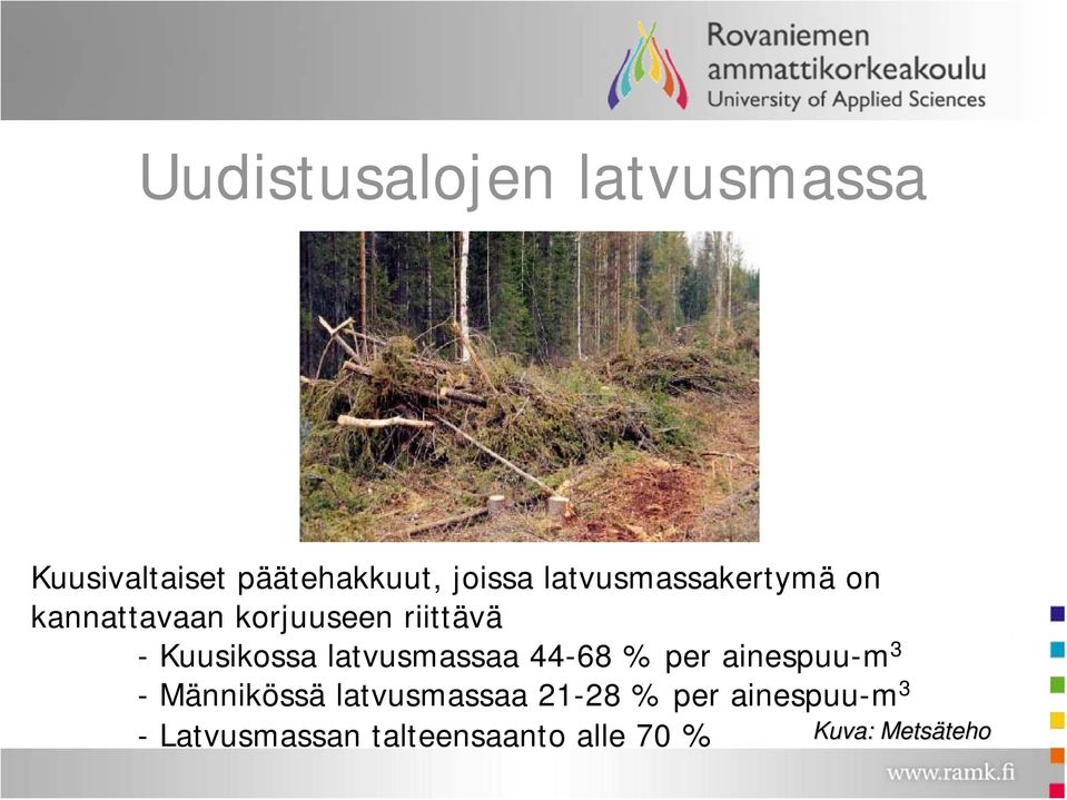 latvusmassaa 44-68 % per ainespuu-m 3 - Männikössä latvusmassaa 21-28