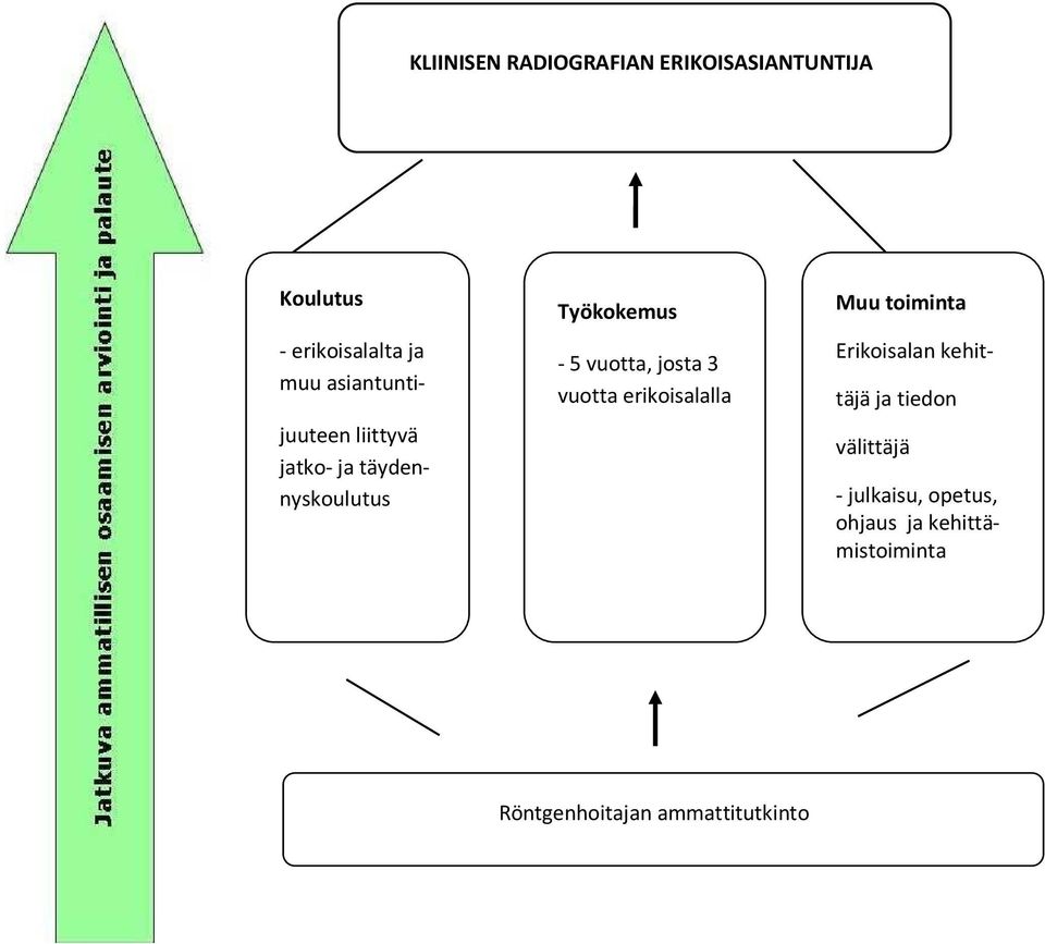 josta 3 vuotta erikoisalalla Muu toiminta Erikoisalan kehit- täjä ja tiedon