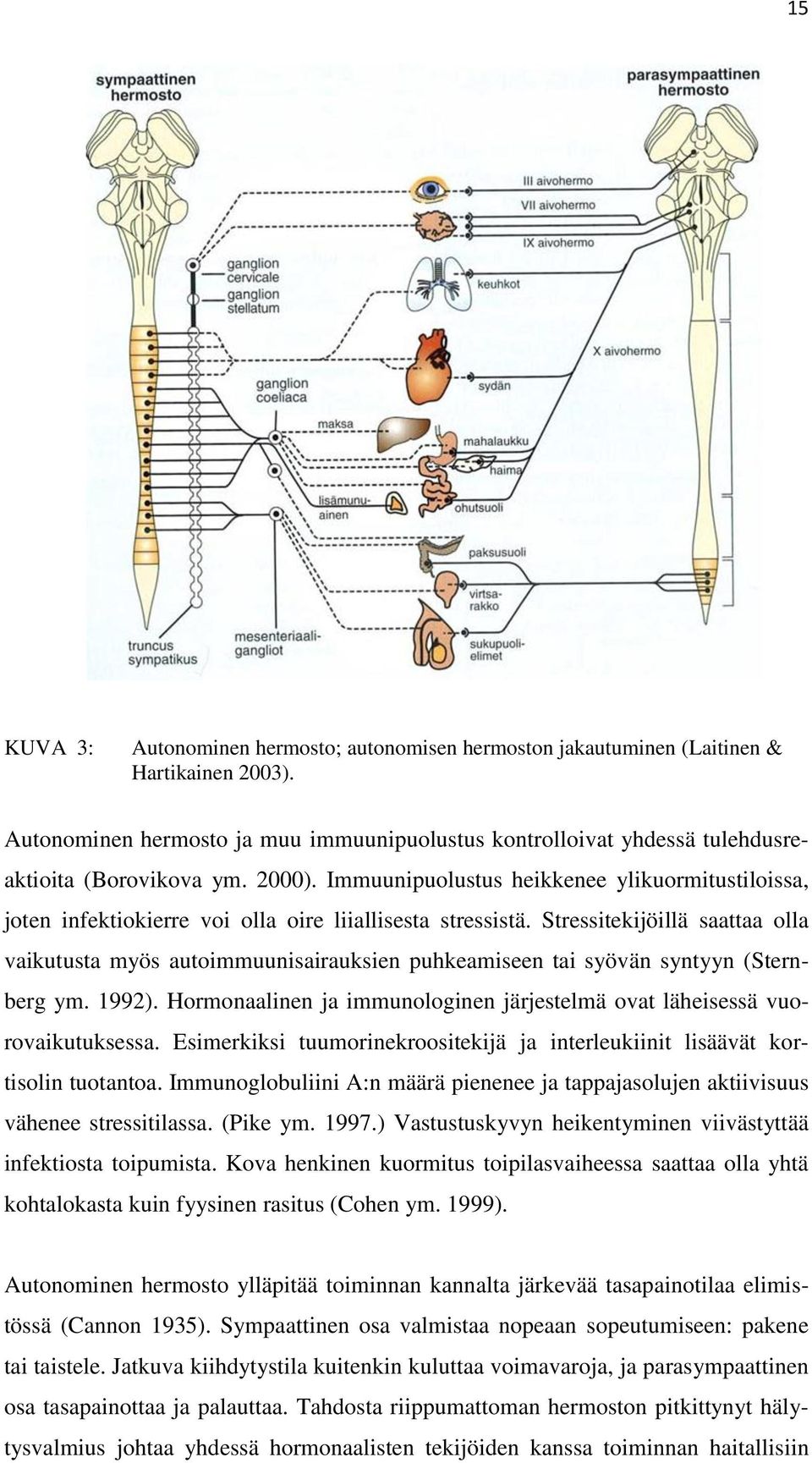 Stressitekijöillä saattaa olla vaikutusta myös autoimmuunisairauksien puhkeamiseen tai syövän syntyyn (Sternberg ym. 1992).