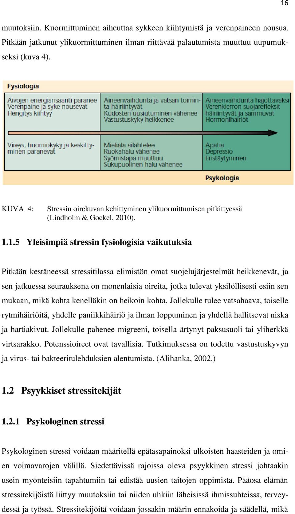 ). 1.1.5 Yleisimpiä stressin fysiologisia vaikutuksia Pitkään kestäneessä stressitilassa elimistön omat suojelujärjestelmät heikkenevät, ja sen jatkuessa seurauksena on monenlaisia oireita, jotka