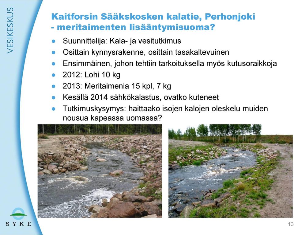 johon tehtiin tarkoituksella myös kutusoraikkoja 2012: Lohi 10 kg 2013: Meritaimenia 15 kpl, 7 kg