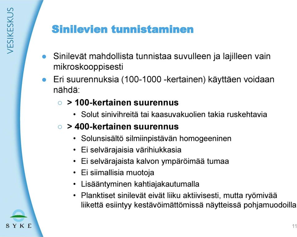 silmiinpistävän homogeeninen Ei selvärajaisia värihiukkasia Ei selvärajaista kalvon ympäröimää tumaa Ei siimallisia muotoja Lisääntyminen