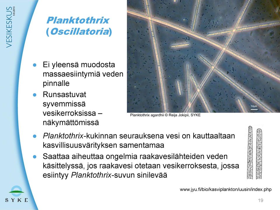 kasvillisuusvärityksen samentamaa Saattaa aiheuttaa ongelmia raakavesilähteiden veden käsittelyssä, jos