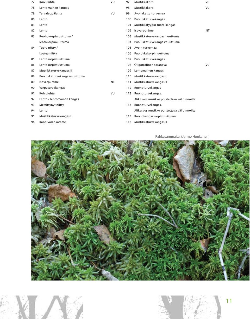 Mustikkaturvekangas I 96 Kanervarahkaräme 97 Mustikkakorpi VU 98 Mustikkakorpi VU 99 Avohakattu turvemaa 100 Puolukkaturvekangas I 101 Mustikkatyypin tuore kangas 102 Isovarpuräme NT 103