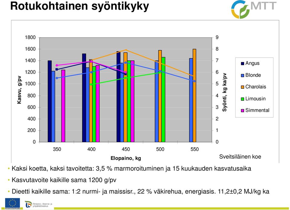 koe Kaksi koetta, kaksi tavoitetta: 3,5 % marmoroituminen ja 15 kuukauden kasvatusaika Kasvutavoite