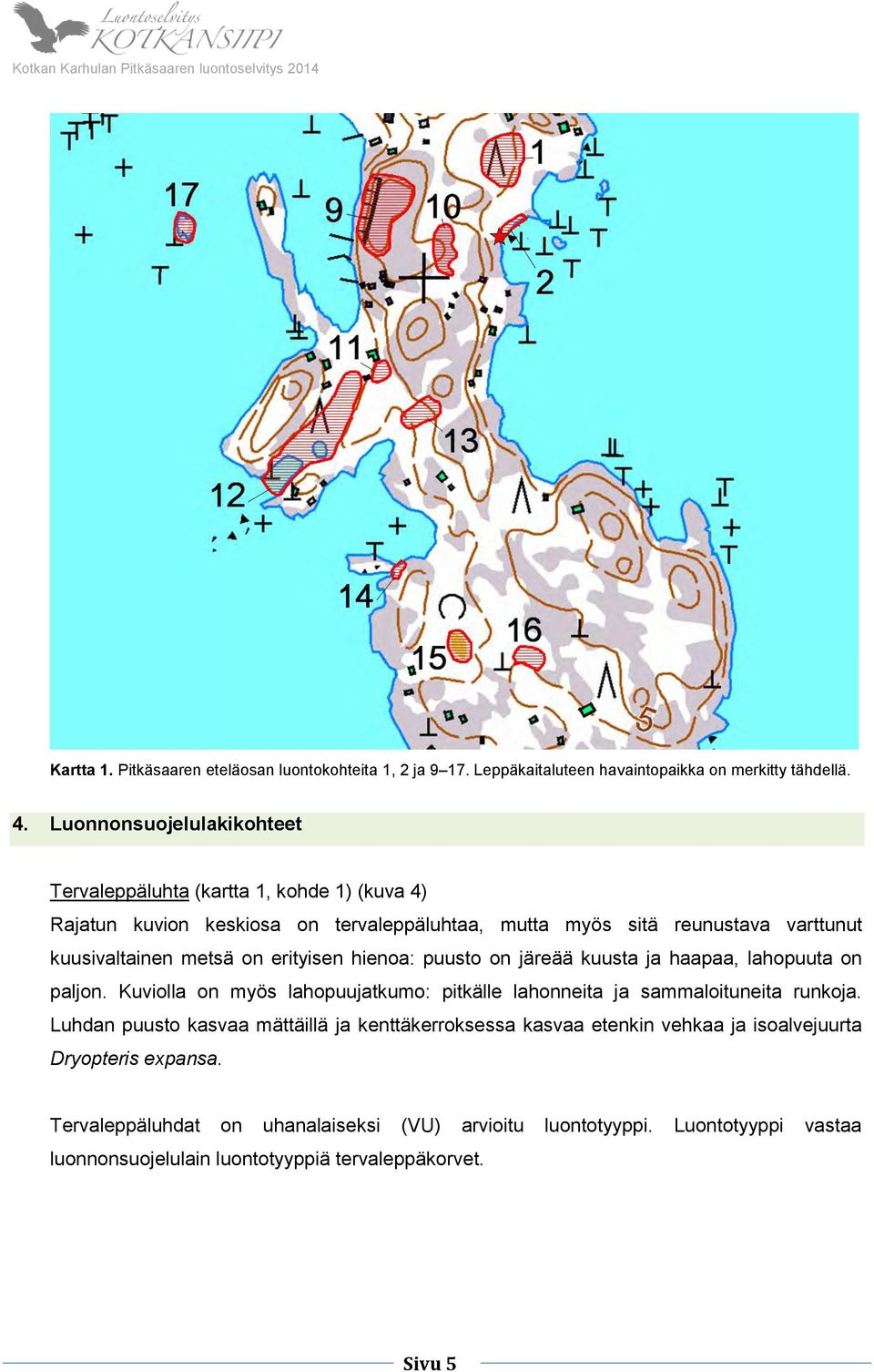 on erityisen hienoa: puusto on järeää kuusta ja haapaa, lahopuuta on paljon. Kuviolla on myös lahopuujatkumo: pitkälle lahonneita ja sammaloituneita runkoja.