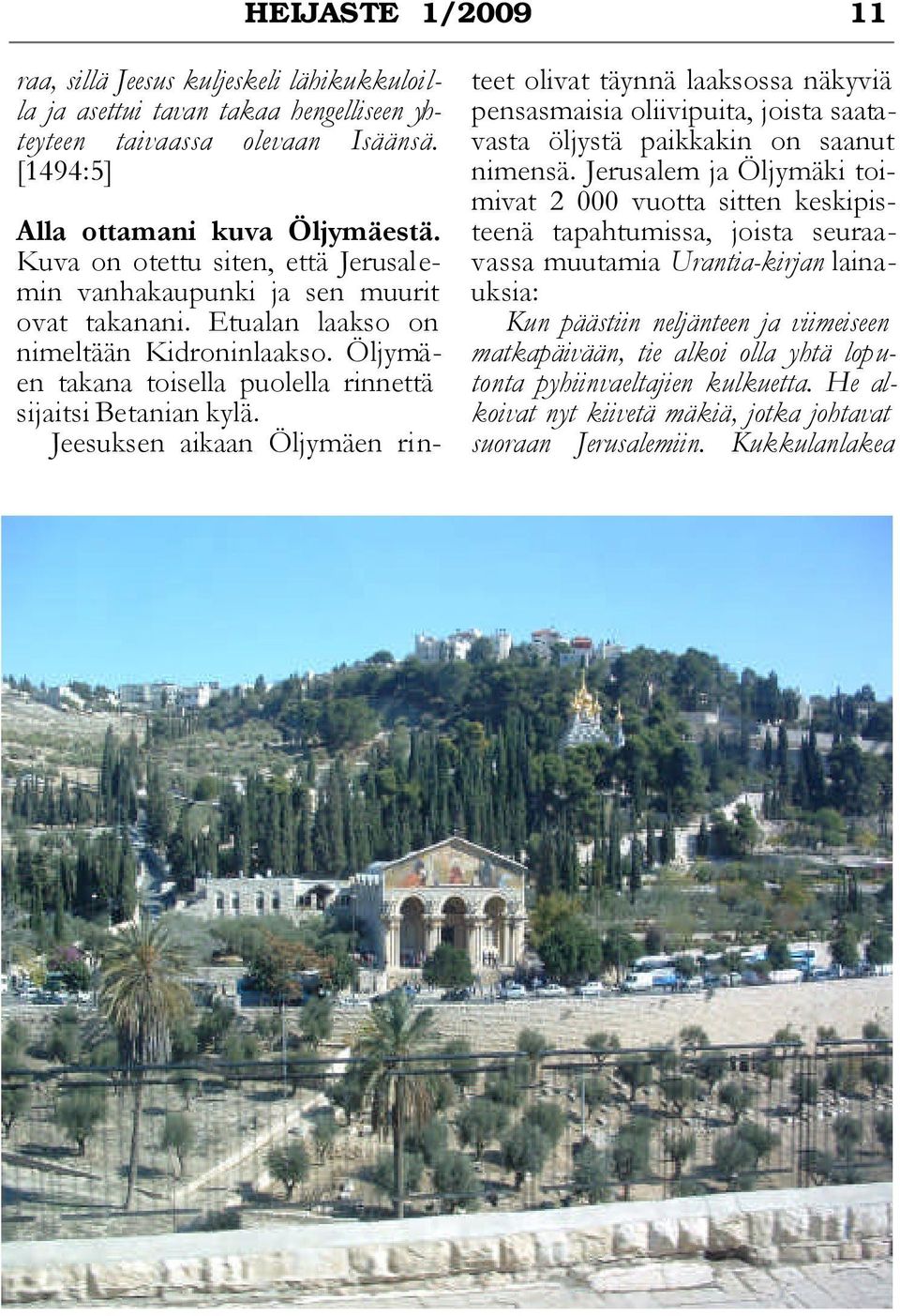 Jeesuksen aikaan Öljymäen rinteet olivat täynnä laaksossa näkyviä pensasmaisia oliivipuita, joista saatavasta öljystä paikkakin on saanut nimensä.