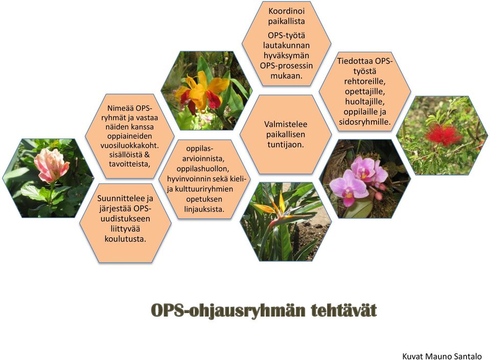 oppilasarvioinnista, oppilashuollon, hyvinvoinnin sekä kielija kulttuuriryhmien opetuksen linjauksista.