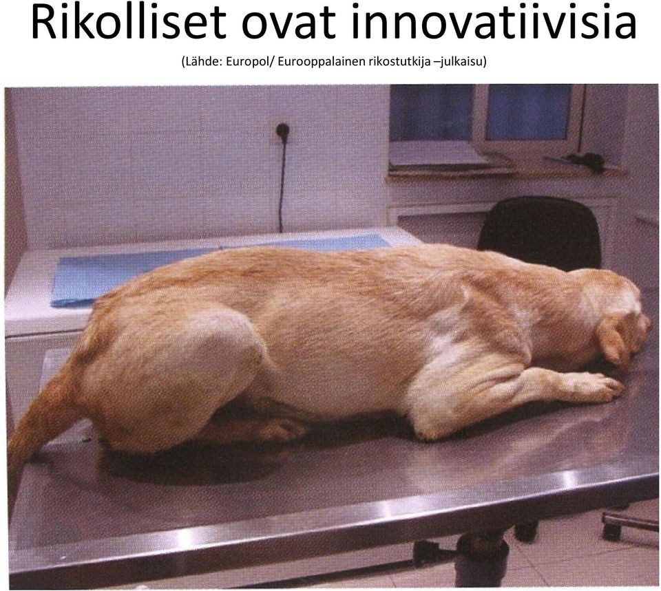 (Lähde: Europol/