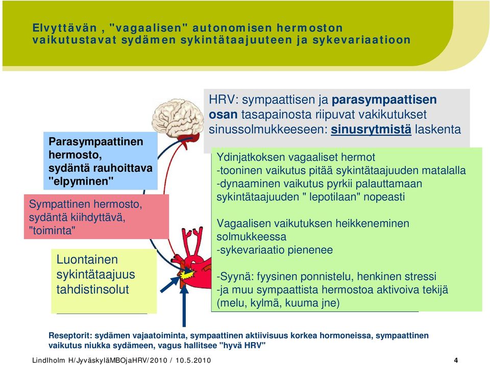 vagaaliset hermot -tooninen vaikutus pitää sykintätaajuuden matalalla -dynaaminen vaikutus pyrkii palauttamaan sykintätaajuuden " lepotilaan" nopeasti Vagaalisen vaikutuksen heikkeneminen