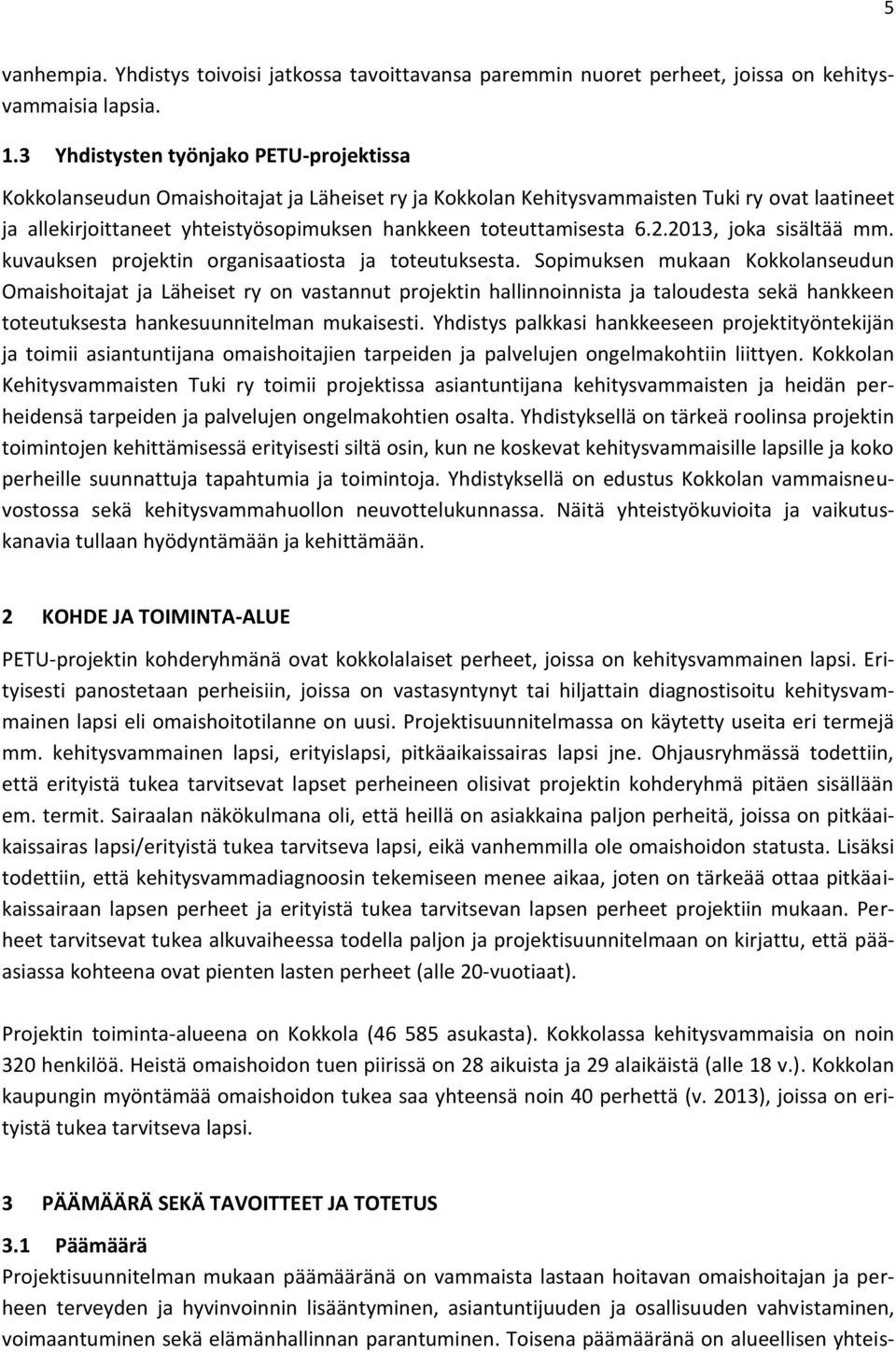 toteuttamisesta 6.2.2013, joka sisältää mm. kuvauksen projektin organisaatiosta ja toteutuksesta.