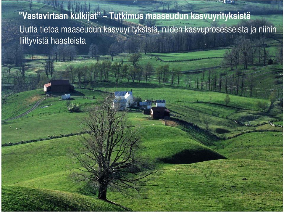 tietoa maaseudun kasvuyrityksistä,