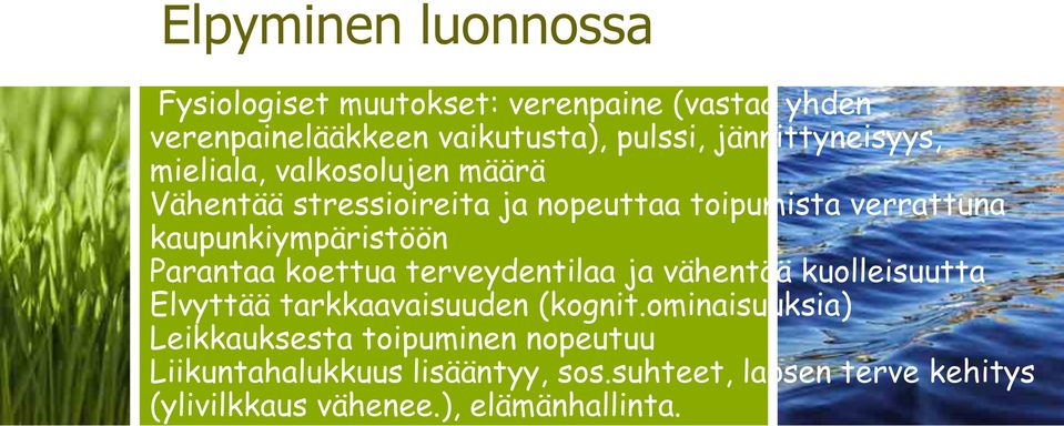 kaupunkiympäristöön Parantaa koettua terveydentilaa ja vähentää kuolleisuutta Elvyttää tarkkaavaisuuden (kognit.