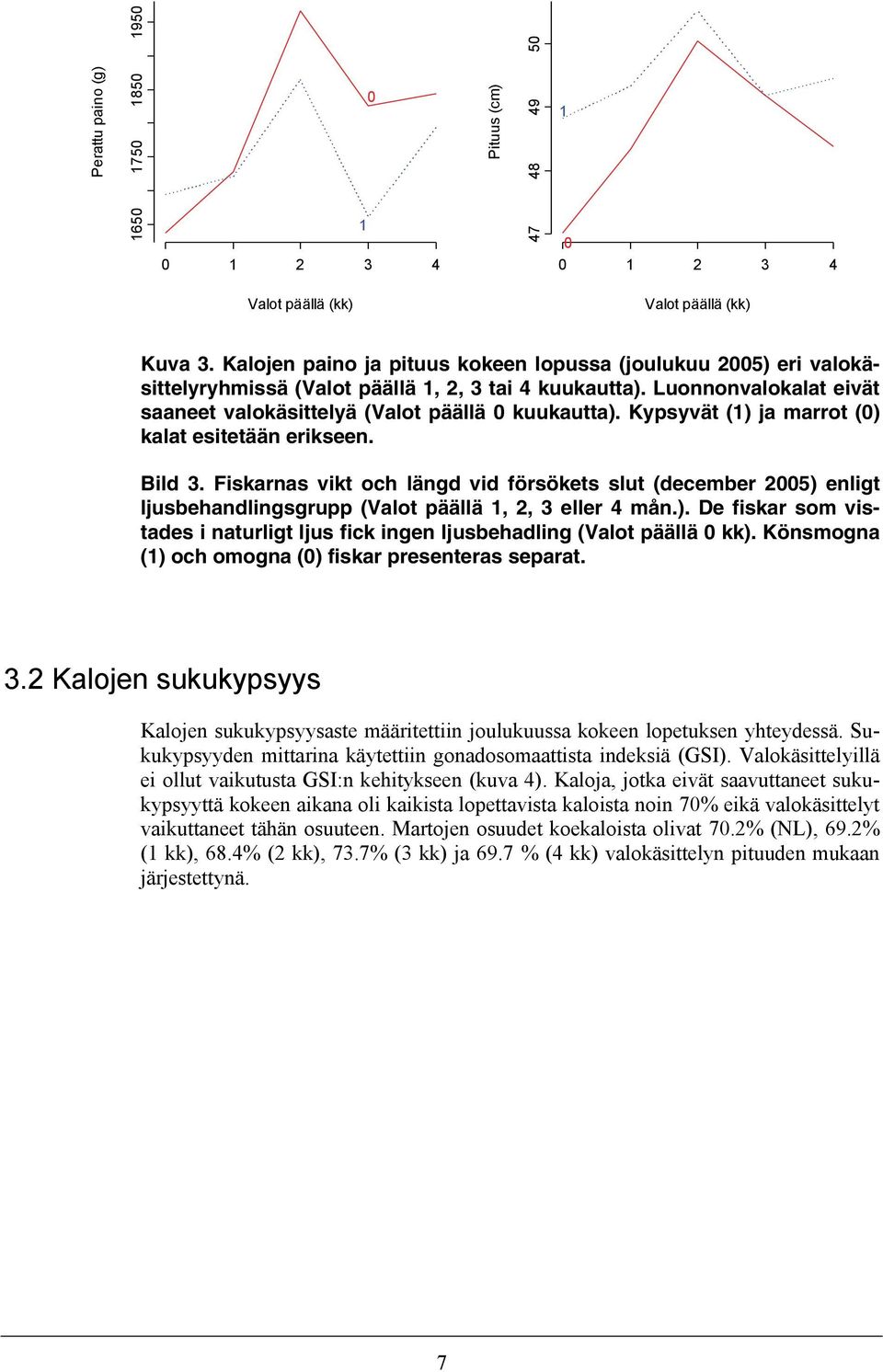 Kypsyvät (1) ja marrot (0) kalat esitetään erikseen. Bild 3. Fiskarnas vikt och längd vid försökets slut (december 2005) enligt ljusbehandlingsgrupp (Valot päällä 1, 2, 3 eller 4 mån.). De fiskar som vistades i naturligt ljus fick ingen ljusbehadling (Valot päällä 0 kk).