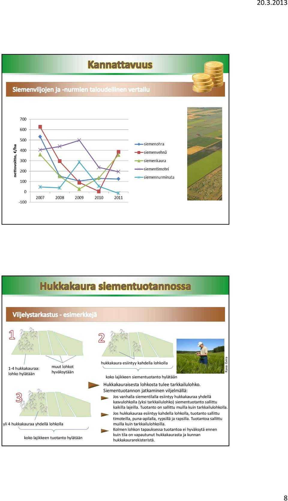 Siementuotannon jatkaminen viljelmällä: Jos vanhalla siementilalla esiintyy hukkakauraa yhdellä kasvulohkolla (yksi tarkkailulohko) siementuotanto sallittu kaikilla lajeilla.