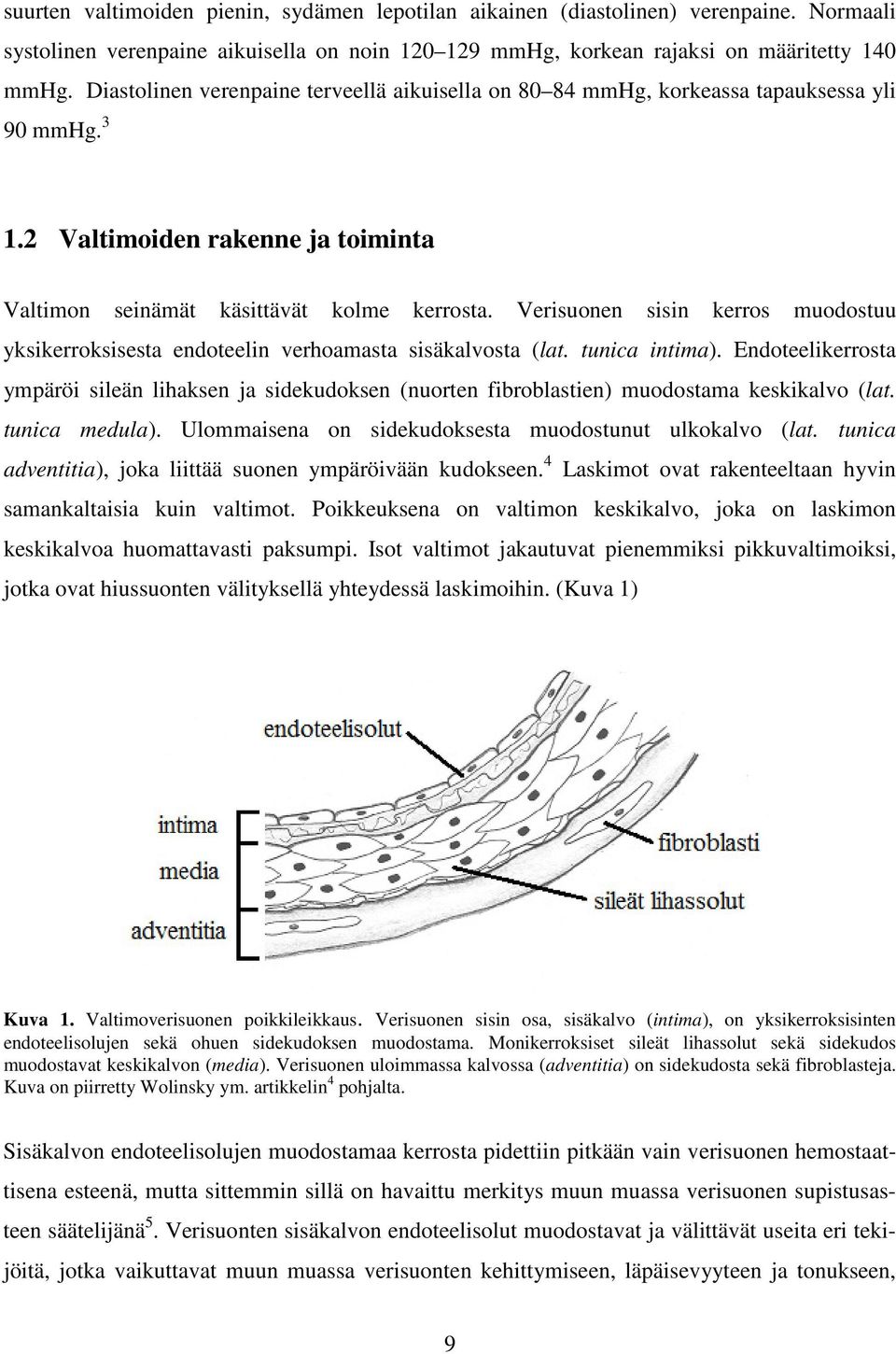 Verisuonen sisin kerros muodostuu yksikerroksisesta endoteelin verhoamasta sisäkalvosta (lat. tunica intima).