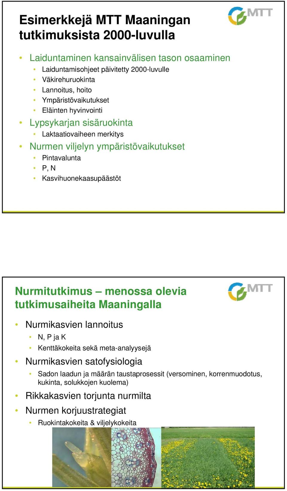 Kasvihuonekaasupäästöt Nurmitutkimus menossa olevia tutkimusaiheita Maaningalla Nurmikasvien lannoitus N, P ja K Kenttäkokeita sekä meta-analyysejä Nurmikasvien