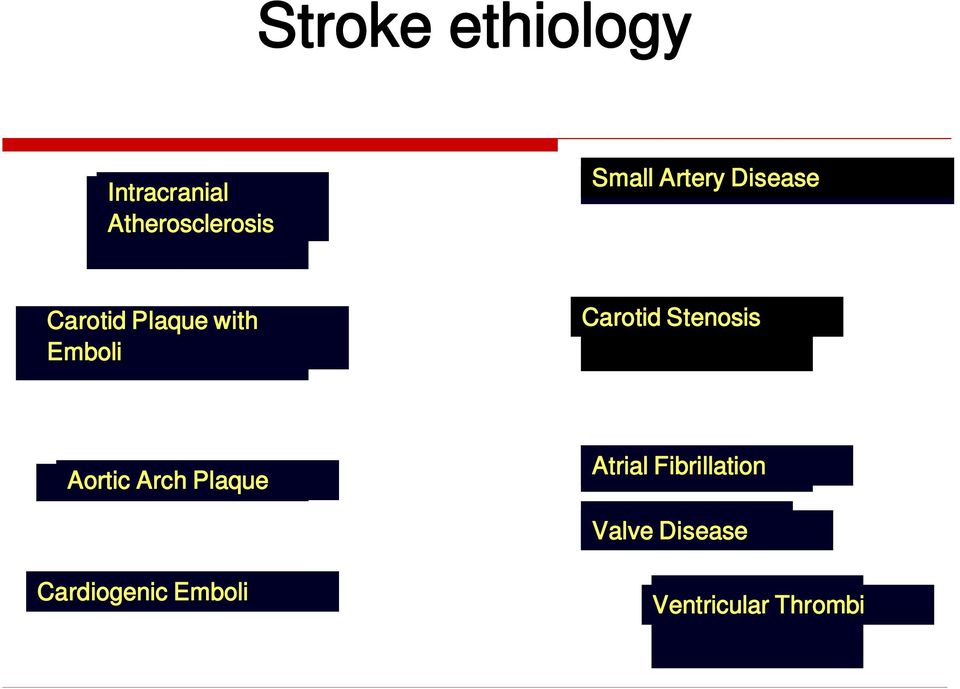 Stensis Artic Arch Plaque Atrial Fibrillatin