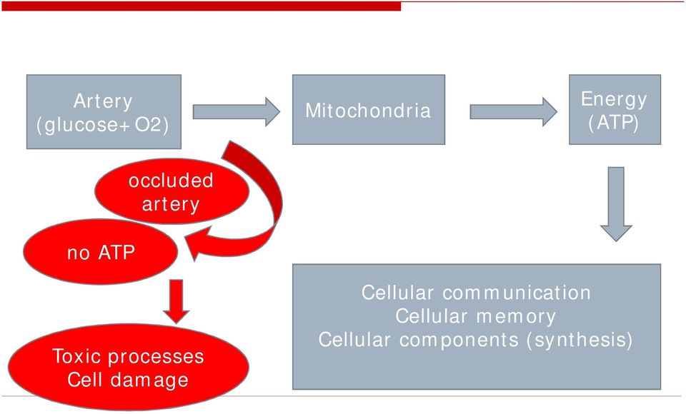 prcesses Cell damage Cellular