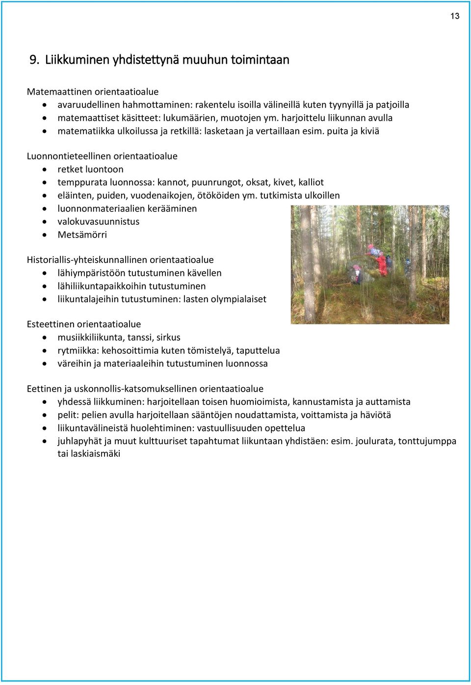 puita ja kiviä Luonnontieteellinen orientaatioalue retket luontoon temppurata luonnossa: kannot, puunrungot, oksat, kivet, kalliot eläinten, puiden, vuodenaikojen, ötököiden ym.