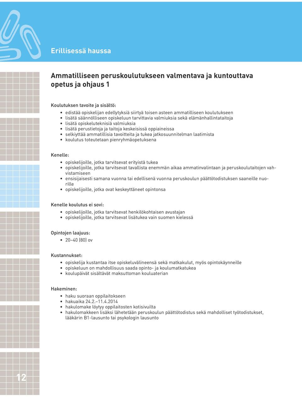 jatkosuunnitelman laatimista koulutus toteutetaan pienryhmäopetuksena opiskelijoille, jotka tarvitsevat erityistä tukea opiskelijoille, jotka tarvitsevat tavallista enemmän aikaa ammatinvalintaan ja