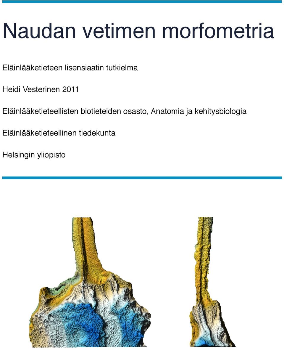 Eläinlääketieteellisten biotieteiden osasto, Anatomia