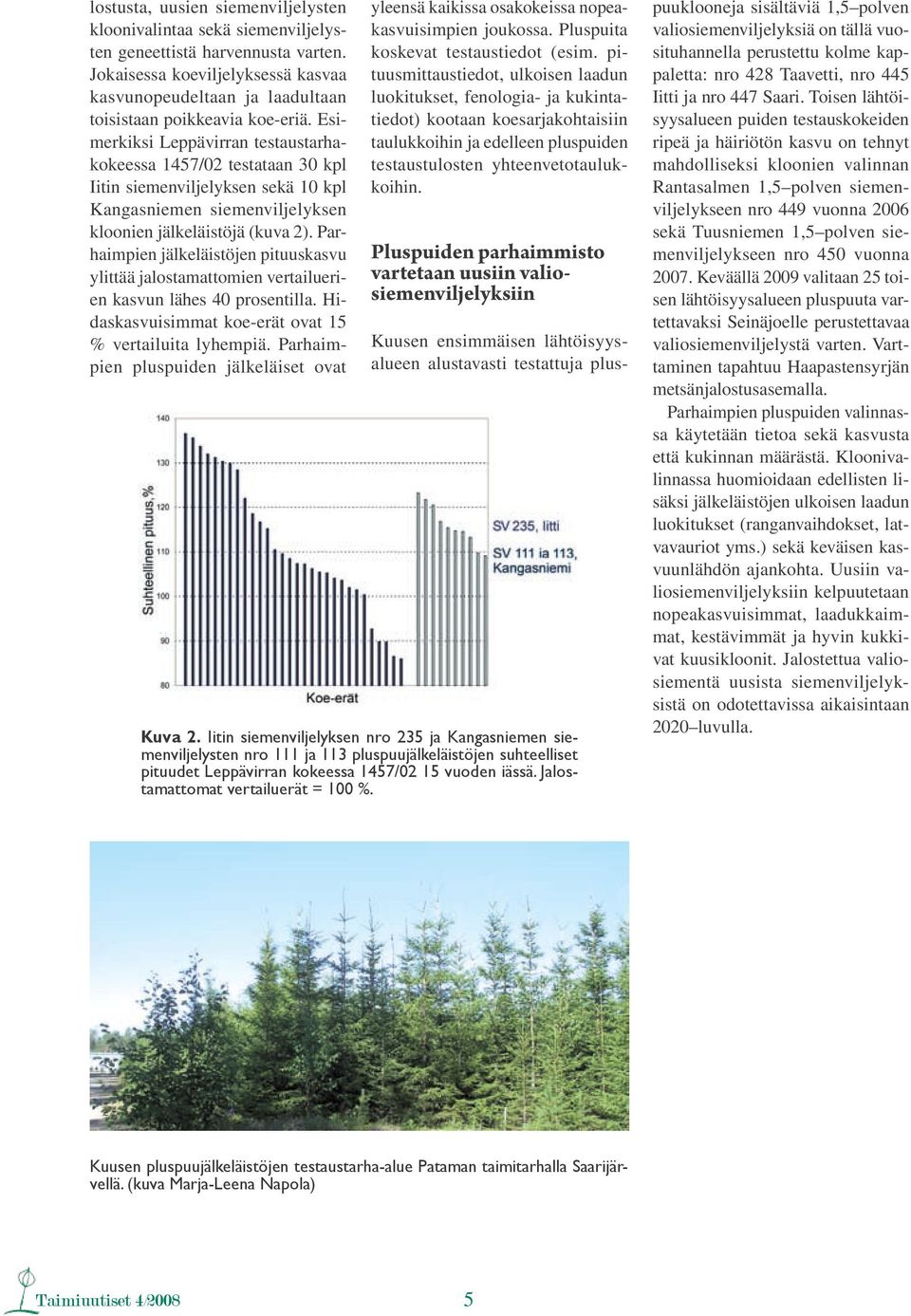 Esimerkiksi Leppävirran testaustarhakokeessa 1457/02 testataan 30 kpl Iitin siemenviljelyksen sekä 10 kpl Kangasniemen siemenviljelyksen kloonien jälkeläistöjä (kuva 2).