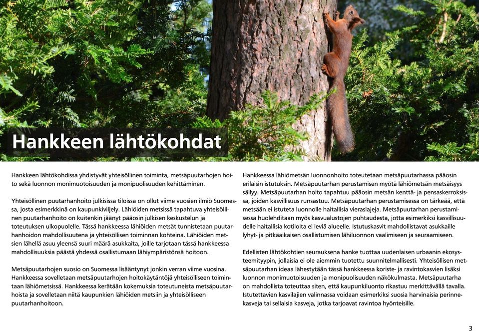 Metsäpuutarhan hoito tapahtuu pääosin metsän kenttä- ja pensaskerroksisyhteisöllinen puutarhanhoito julkisissa tiloissa on ollut viime vuosien ilmiö Suomes- sa, joiden kasvillisuus runsastuu.