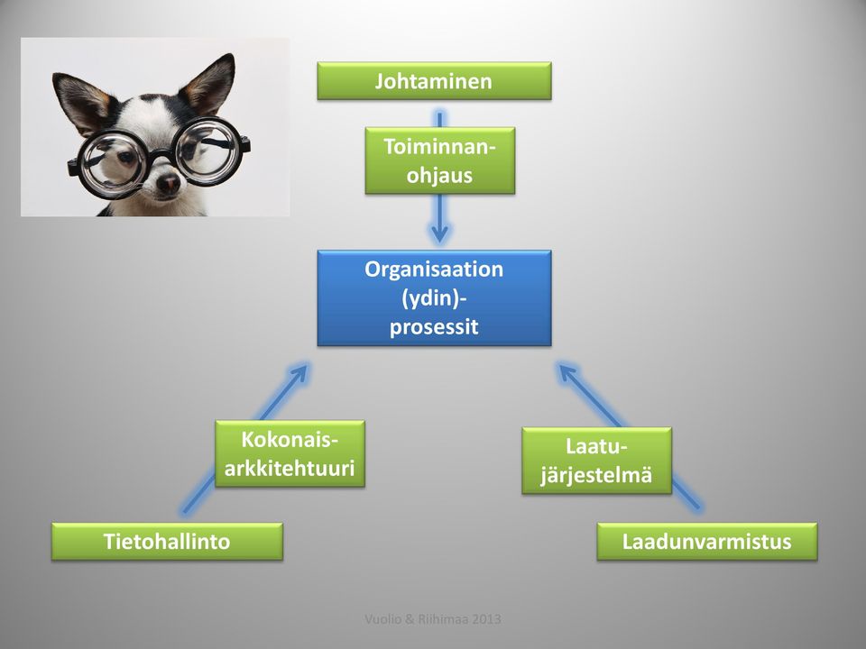 Toiminnanohjaus Organisaation