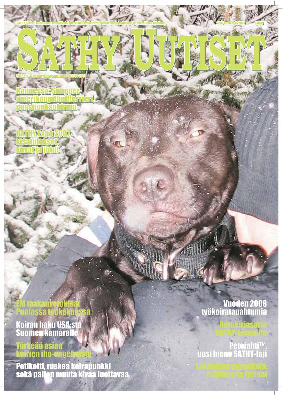 12 vuotta yhdistysrekisterissä 1996-2008 Kannessa: Snapperamerikanpitbullterrieri, pussijuoksuhirmu SATHY Expo 2007 kisatulokset, kuvat ja jutut EM