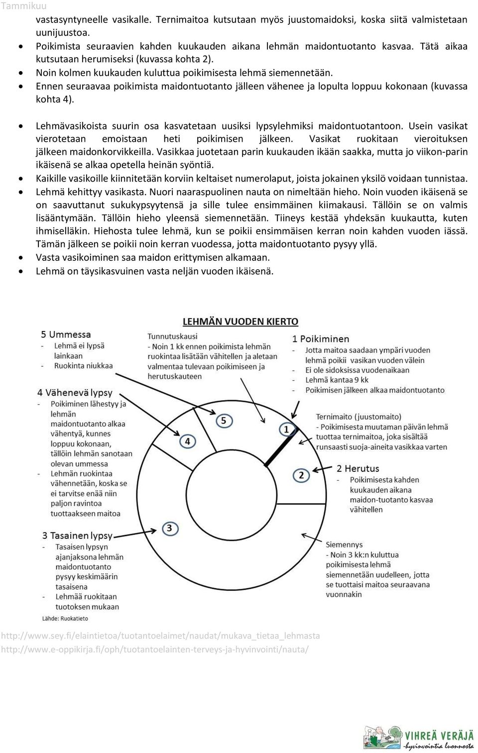 Ennen seuraavaa poikimista maidontuotanto jälleen vähenee ja lopulta loppuu kokonaan (kuvassa kohta 4). Lehmävasikoista suurin osa kasvatetaan uusiksi lypsylehmiksi maidontuotantoon.