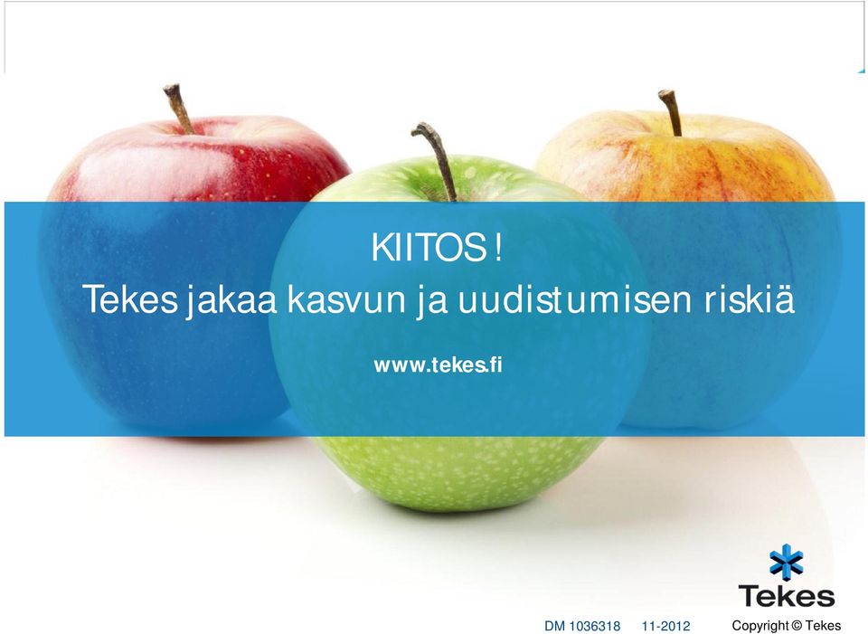 uudistumisen riskiä www.