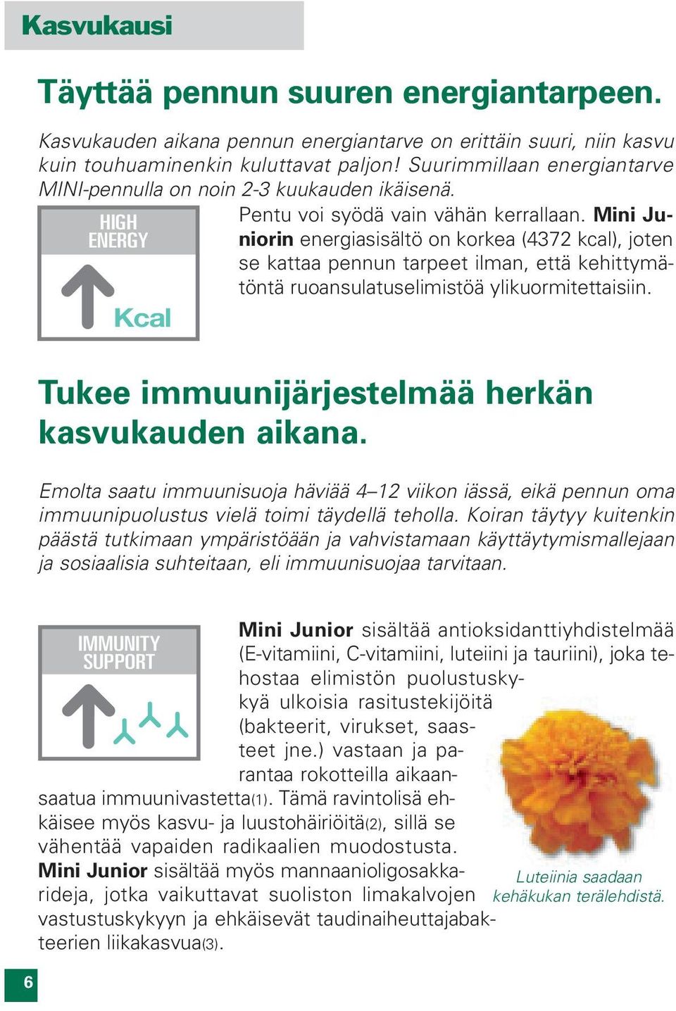 Mini Juniorin energiasisältö on korkea (4372 kcal), joten se kattaa pennun tarpeet ilman, että kehittymätöntä ruoansulatuselimistöä ylikuormitettaisiin.