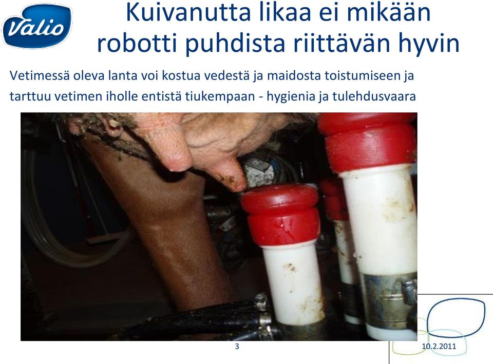 vedestä ja maidosta toistumiseen ja tarttuu vetimen