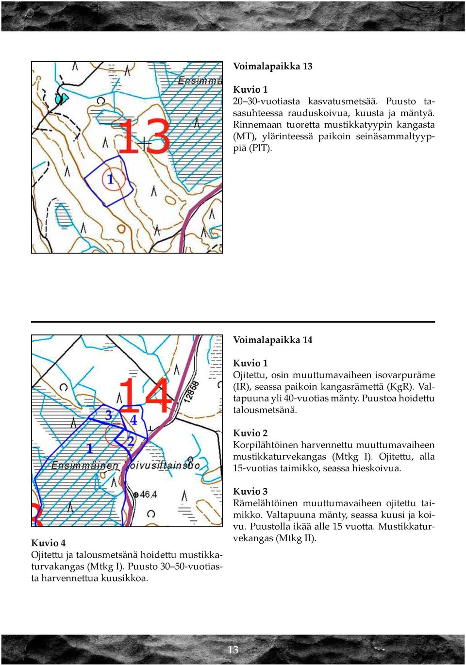 Voimalapaikka 14 Ojitettu, osin muuttumavaiheen isovarpuräme (IR), seassa paikoin kangasrämettä (KgR). Valtapuuna yli 40-vuotias mänty. Puustoa hoidettu talousmetsänä.