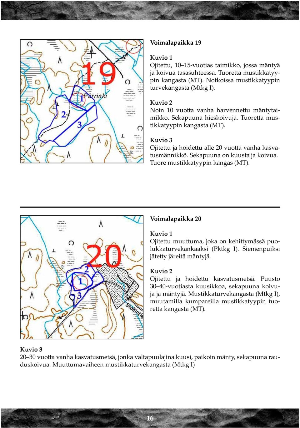 Sekapuuna on kuusta ja koivua. Tuore mustikkatyypin kangas (MT). Voimalapaikka 20 Ojitettu muuttuma, joka on kehittymässä puolukkaturvekankaaksi (Pktkg I). Siemenpuiksi jätetty järeitä mäntyjä.