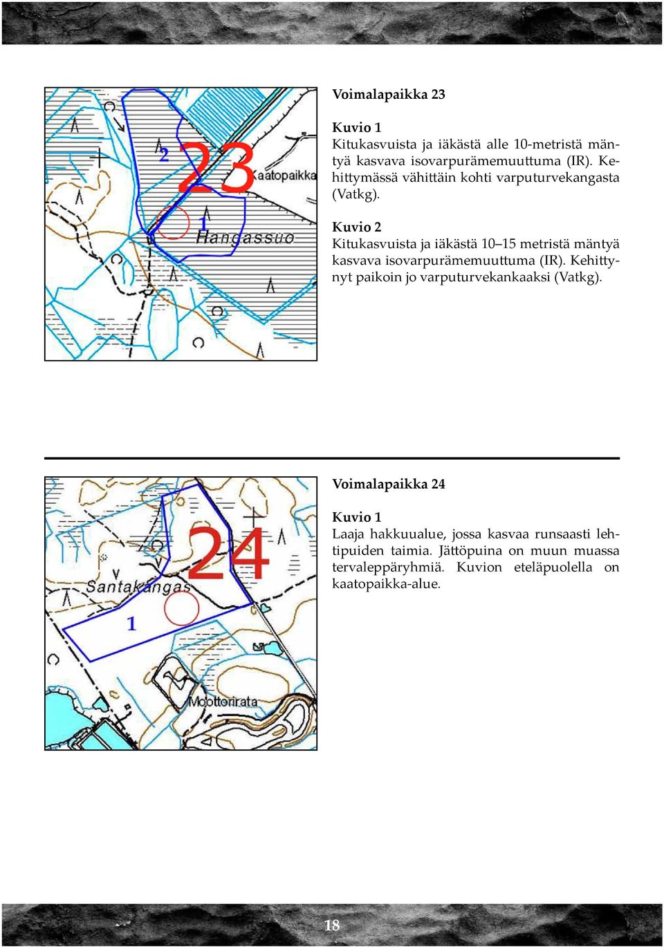Kitukasvuista ja iäkästä 10 15 metristä mäntyä kasvava isovarpurämemuuttuma (IR).