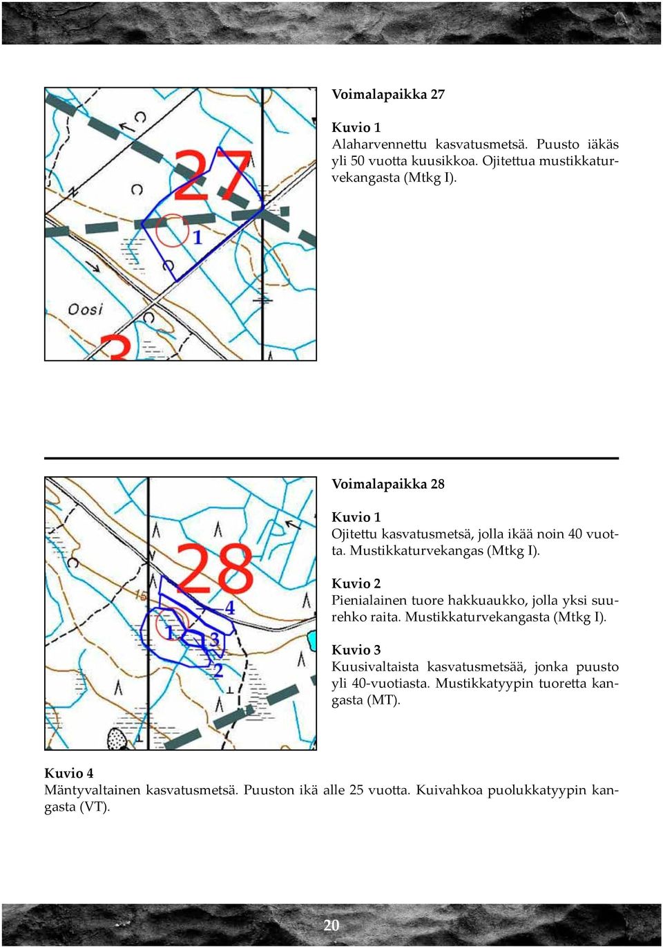 Pienialainen tuore hakkuaukko, jolla yksi suurehko raita. Mustikkaturvekangasta (Mtkg I).