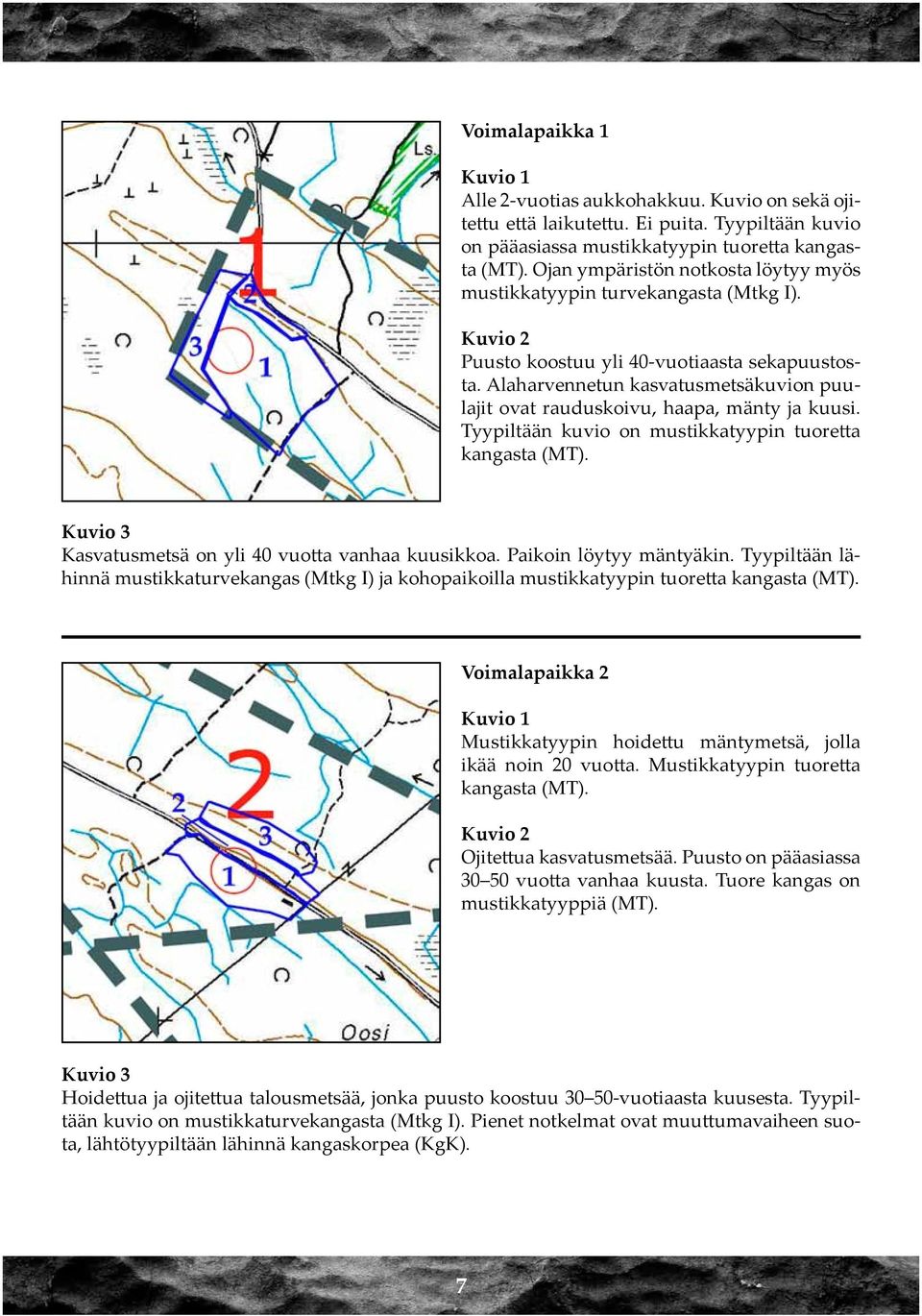 Alaharvennetun kasvatusmetsäkuvion puulajit ovat rauduskoivu, haapa, mänty ja kuusi. Tyypiltään kuvio on mustikkatyypin tuoretta kangasta (MT). Kuvio 3 Kasvatusmetsä on yli 40 vuotta vanhaa kuusikkoa.