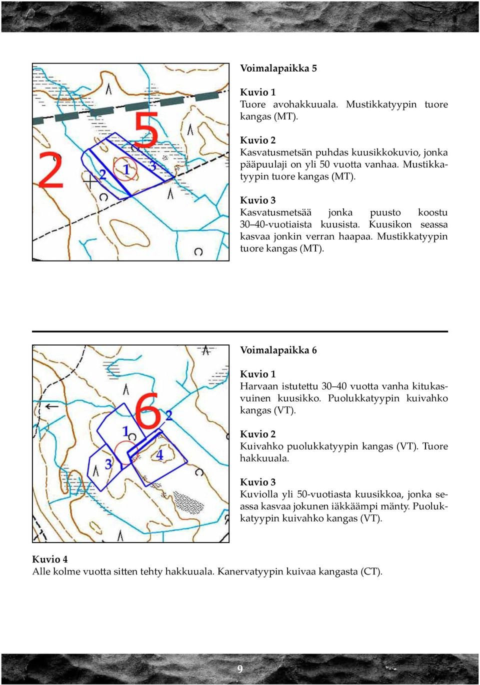 Mustikkatyypin tuore kangas (MT). Voimalapaikka 6 Harvaan istutettu 30 40 vuotta vanha kitukasvuinen kuusikko. Puolukkatyypin kuivahko kangas (VT).