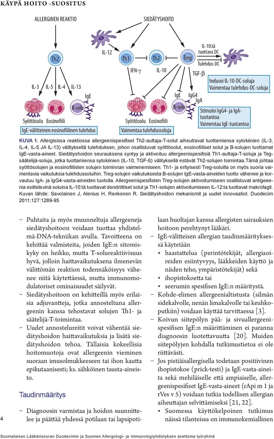 IgE-tuotantoa KUVA 1.