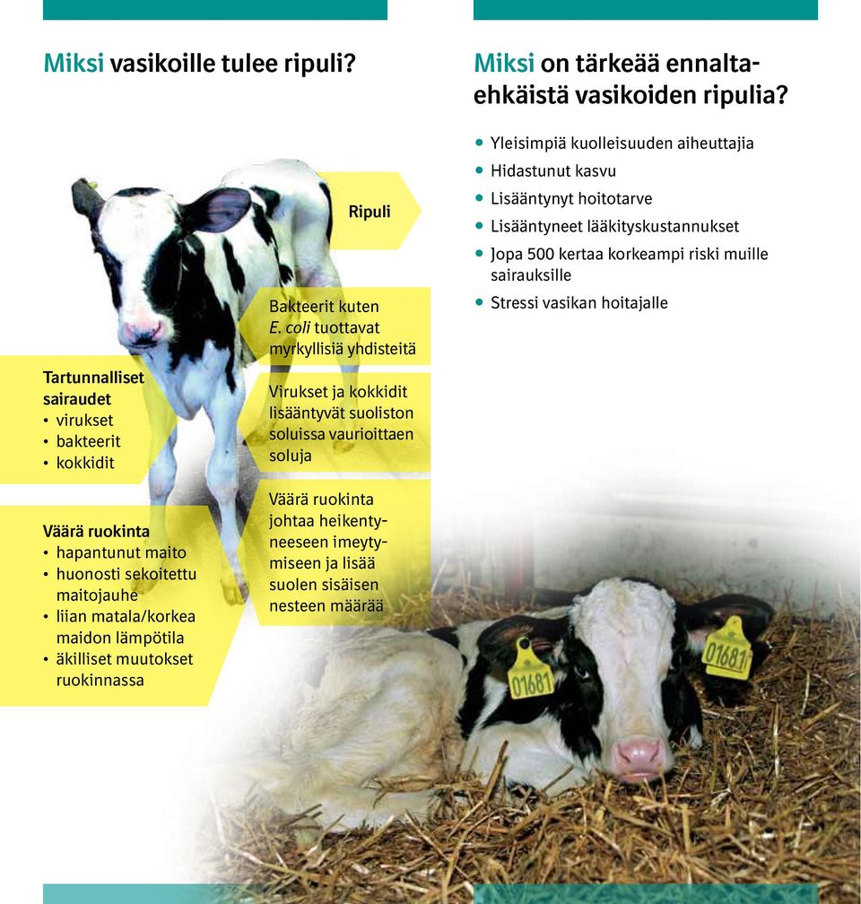 muutokset ruokinnassa Ripuli Bakteerit kuten E.